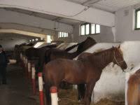 Aici gasesti toate cererile si ofertele de muncă disponibile în domeniul cautat din tara si strainatate. Locuri De Munca Franta Pagina 9 Munca Top Locuri De Munca In Europa Si Romania