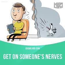 Get On Someone S Nerves Means To Annoy Someone A Lot Example Sometimes English Idioms Idioms English Vocabulary