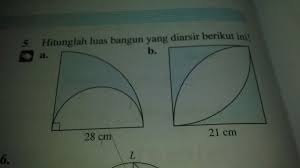 Tanaman ini memiliki bentuk yang unik karena daunnya menyerupai pedang dengan warna hijau dan belang kuning, warna daunnya yang cerah dapat menghidupkan suasana ruangan, tanaman ini juga tahan terhadap perubahan cuaca. Hitunglah Luas Bangun Yg Diarsir Berikut Ini Brainly Co Id