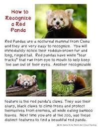 Determining The Main Idea In Nonfiction Red Pandas Red Panda Panda Panda Information
