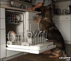 Üstelik hemen her beyaz eşyanın bakım temizliklerini de yapmanız gerekiyor. Gri Beyaz Esya Temizligi Puf Noktalarla Lekelerden Kurtul Kizlarsoruyor