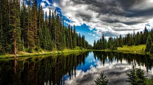 Download the perfect nature portrait pictures. Forest Lake Wallpapers Top Free Forest Lake Backgrounds Wallpaperaccess