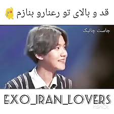 تالار اکسو EXO 5