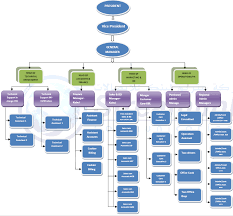 organizational chart streamlink internet service provider