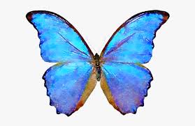 Butterfly icon, watercolor butterfly, blue and purple butterflies illustration, watercolor painting, blue png. Blue Watercolor And Psd Butterfly Png Transparent Png Download Transparent Png Image Pngitem