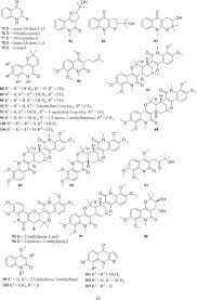 Image result for Vepris sansibarensis