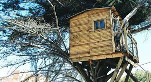 Weitere ideen zu baumhaus, haus, stelzenhaus. Schwarzbauten Auf Baumen Und Im Garten News Ivv Immobilien Vermieten Verwalten Das Magazin Fur Die Wohnungswirtschaft