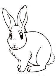 رسومات اطفال سهلة للتلوين حيوانات أليفة برية draw animal for kids draw animals for kids animal drawings animals for kids
