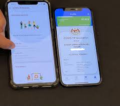 Do i need a vaccine to travel to singapore? Aphm Moots Regional Vaccine Passport For Medical Tourists Codeblue