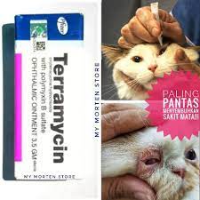Ubat sakit gigi, ubat sakit urat, ubat sakit gusi, ubat sakit badan, ubat sakit perut, ubat sakit tekak, ubat sakit lutut, ubat sakit telinga, ubat sakit pinggang, ubat sakit kerongkong, ubat sakit harga ubat tahan sakit di farmasi. Ubat Sakit Mata Kucing Anjing Shopee Malaysia