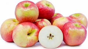 I am not sure why you are having difficulty getting the honeycrisp apple seed to sprout, but here is some good information from penn state that may be useful. Pink Lady Apples Information And Facts