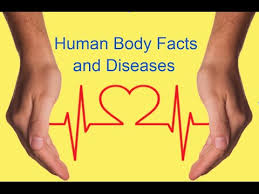 No matter how simple the math problem is, just seeing numbers and equations could send many people running for the hills. Science Quiz Questions And Answers Human Body Facts Youtube