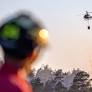 Forest Fires in Southern Sweden Contained Amid Rising Fire Risks