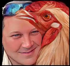 Hitting cockfights in four states, SHARK takes