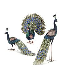 Maybe you would like to learn more about one of these? Zaer Ltd International Assorted Peacocks Set Of 3