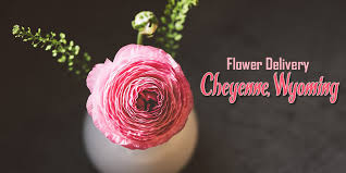 Underwood flowers takes great pride in bringing smiles to our customers with our beautiful arrangements. The 5 Best Options For Flower Delivery In Cheyenne Wyoming 2021