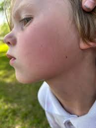 The first picture is the Touhy School also known as District 111which was a  grade school only, the high school kids went to Valparaiso Public School to  finish their education. . The