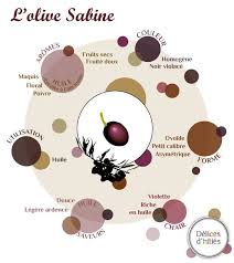 Infographie Variete Olive Sabine