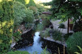 Location pour 6 personnes maison cap skirring centre sur un de terrain 3800 m² clos jardin. Entretien D Un Jardin Luxuriant Avec Bassin Jardins De L Orangerie