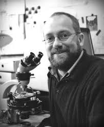 Wilfried Bauer (Geologe)