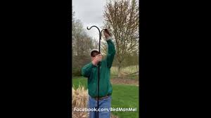 Riesenauswahl an produkten für zuhause. Sturdy Shepherd Hook From Backyard Essentials Youtube