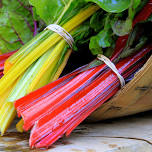 Amherst Farmers’ Market