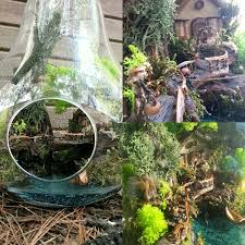 Filiz Yilmaz Adli Kullanicinin Terrarium Driftwood Bohemian Panosundaki Pin