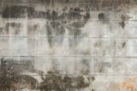 Finden der ursache von schimmelpilz berlin und brandenburg. Schimmel Auf Dem Teppich Was Tun