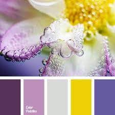 Complementary colors (purple & yellow). Purple And Yellow Colors Color Palette Ideas