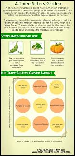 Three Sisters Garden Layout Infographics Companion Gardening Three Sisters Garden Layout