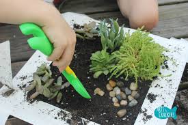 Check spelling or type a new query. Diy Succulent Fairy Garden Arts And Crackers