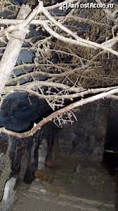 Fraţii varma din canada au. Castelul Groazei Terifiant Impresii DescoperÄ Zona Bran Bran Amfostacolo