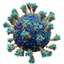 It was first identified in december 2019 in wuhan,. Variants Of Sars Cov 2 Wikipedia