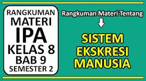 Setelah siswa melakukan kajian literatur dari berbagai sumber, siswa dapat menjelaskan pengertian dari sistem ekskresi 2. Sistem Ekskresi Manusia Apk Download 2021 Free 9apps