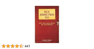 Sex Addiction 101: A Basic Guide to Healing from Sex, Porn, and Love  Addiction: Weiss LCSW CSAT-S, Robert: 9780757318436: Books - Amazon.ca