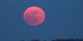 Mambo sous la lune — rose mania. Une Enorme Super Lune Rose Eclairera Le Ciel La Semaine Prochaine Ipnoze