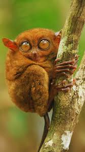 Melanie buffetaud nu her looks is better than her images in