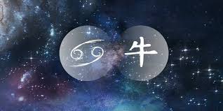 The playful cancerian pig personality.free personality horoscope for the zodiac sign cancer made with combination of the chinese astrology for cancer born during the pig year: Cancer Ox The Creativity Seeker Of The Chinese Western Zodiac