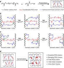 It focuses on the 3 major lifts; On Demand Shape Memory Polymer Via Light Regulated Topological Defects In A Dynamic Covalent Network Nature Communications