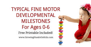 Typical Fine Motor Developmental Milestones For Ages 0 6