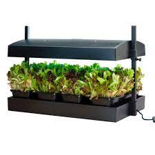 I use the t5 to start the seedlings in combination with hlg 300 v2 rspec until about week 3 or 4. Sunblaster Growlight Garden Hydrodionne