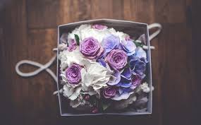The home gardener and commercial grower supplies the colorful, fragrant blossoms to be used for any occasion. September Wedding Flowers Wedding Flowers In Season Chwv