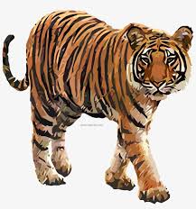 Choose from over a million free vectors, clipart graphics, vector art images, design templates, and illustrations created by artists worldwide! Come Tiger Clipart Png Image Www Royal Bengal Tiger Png Png Image Transparent Png Free Download On Seekpng