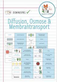 diffusion osmose membrantransport domino spiel unterrichtsmaterial im fach biologie passiver transport domino spiele biologie
