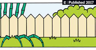 To start off, order your seeds from a reputable supplier. Neighbor Complains Bamboo Is Taking Over The New York Times