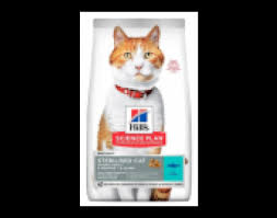 Kedi Mamasi Onerileriniz Onerileriniz Com