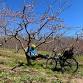Fall Rogers Orchard ride! event image
