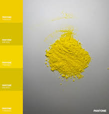 Yellow 10 Lake Bayside Soap