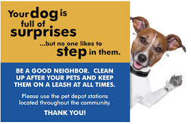 Pet depot offers a wide selection of pet food and supplies for pets ranging from dogs to iguanas. Pet Friendly Apartment Near You Https Provoluxuryapartments Com Pet Friendly Apartment Near You 2 Pet Friendly Apartments Apartment Pet Pets