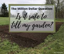 Adding amendments to your soil in the fall, or post harvest, seems backward. Million Dollar Question Is It Safe To Till My Garden Life Well Inspired